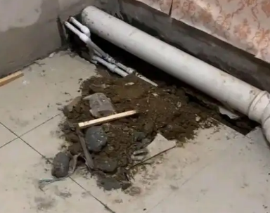 定结卫生间漏水检测哪家好