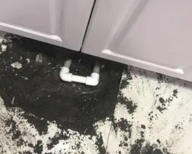定结查漏水哪家好