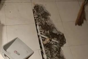 定结卫生间漏水检测电话